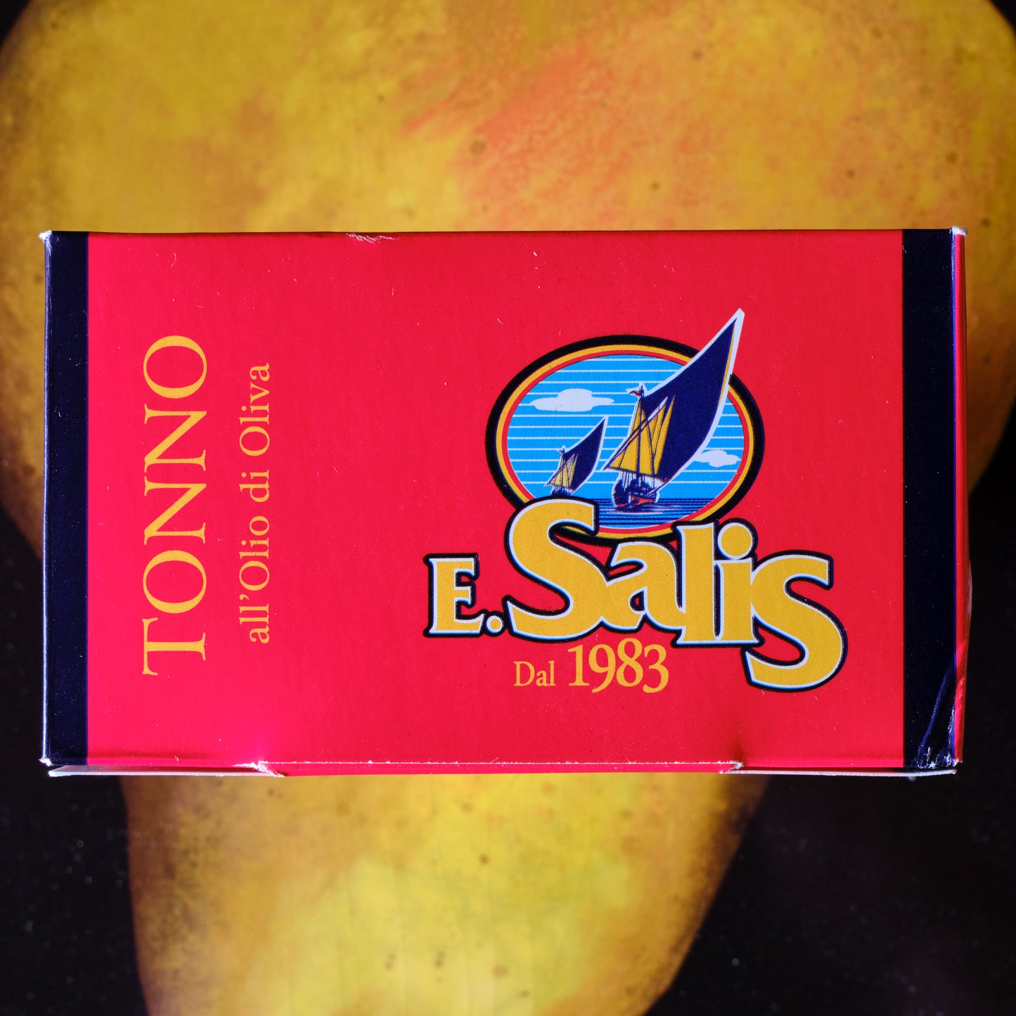 E. Salis Sustainably-Caught Blue Fin Tuna - Tonno Rosso