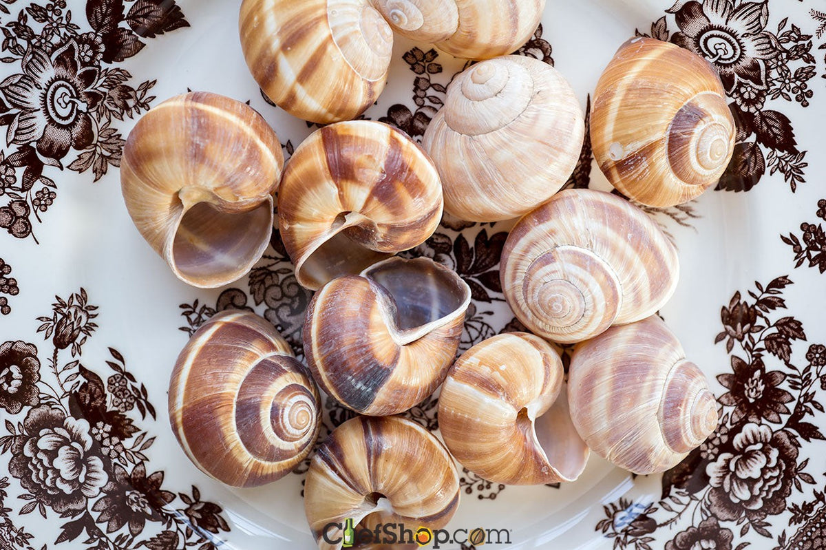 Escargot Shells