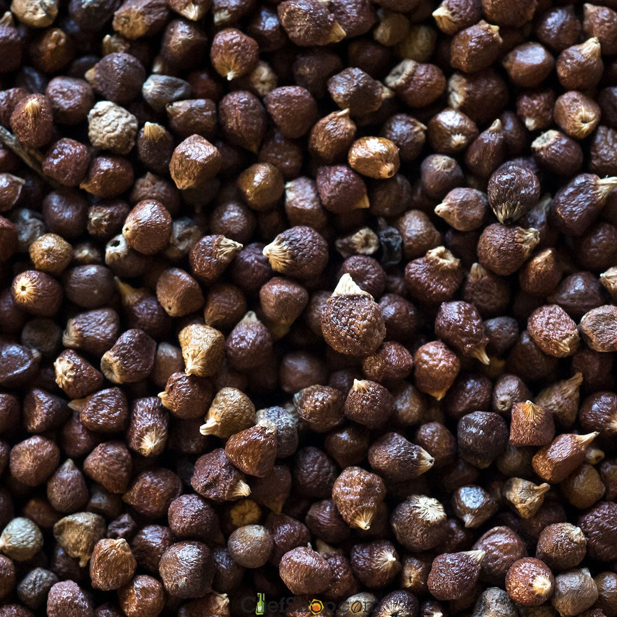 Grains of Paradise