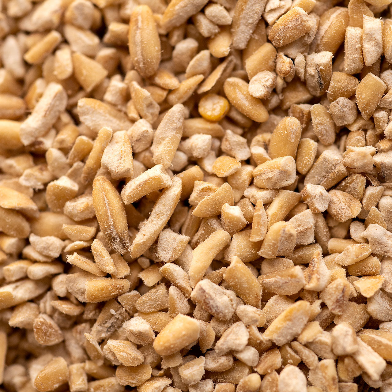 Oatmeal of Alford Organic Gluten Free Stone-Cut from Scotland