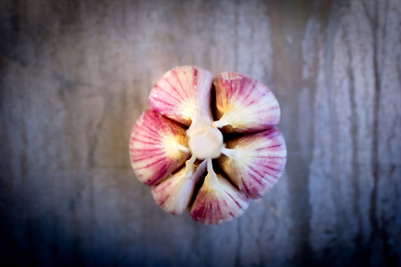Killarney Red Organic Garlic
