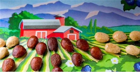 Skin-on Marcona Almonds