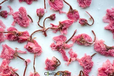 Salted Cherry Blossoms (Sakura)