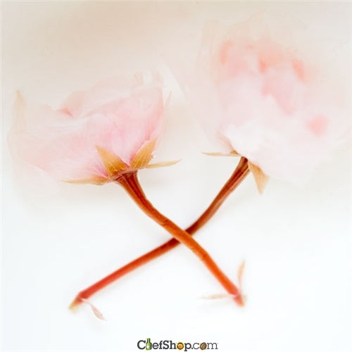 Salted Cherry Blossoms (Sakura)