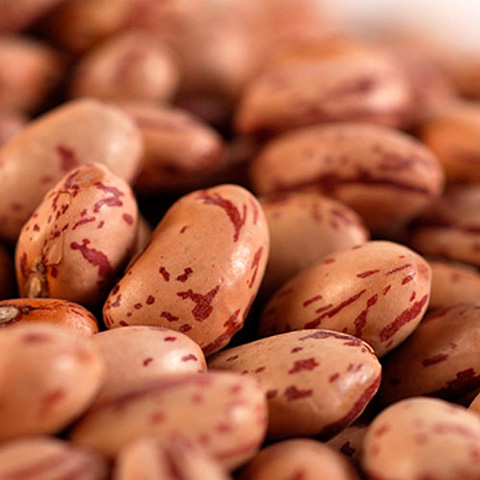 Cranberry Beans - Dried