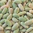 Flageolet Beans - Dried