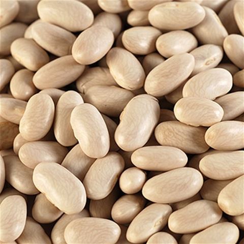 Cannellini Beans - Dried
