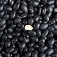 Black Turtle Beans - FA Certified