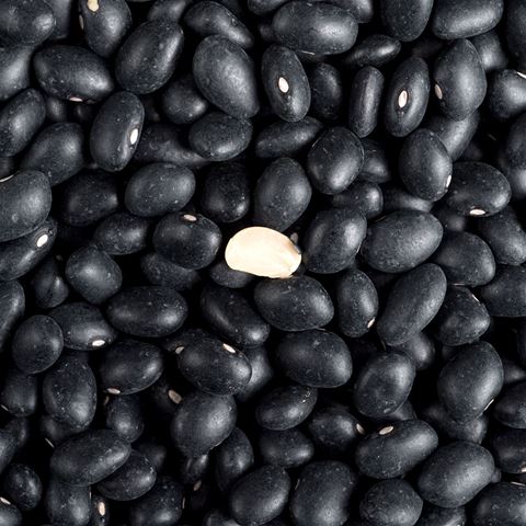 Black Turtle Beans - FA Certified