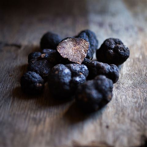 Fresh Black Perigord Winter Truffles - 1/4 pound
