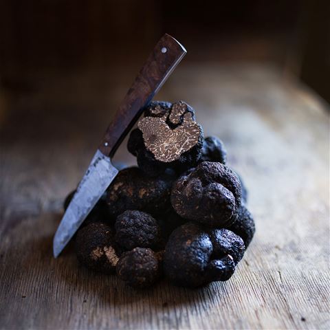 Fresh Black Perigord Winter Truffles - 2 pounds