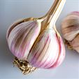 German Red Organic Garlic