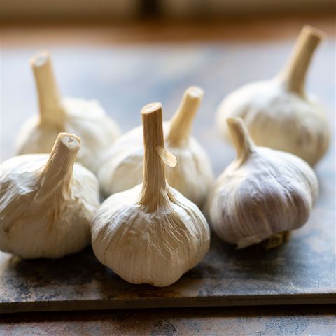 Amish Rocabole Garlic - Hardneck