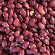 Organic Dried Red Bean