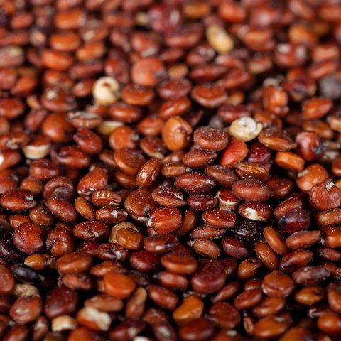 Organic Fair-Trade Red Quinoa
