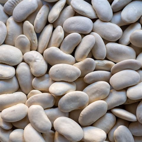 Tarbais Beans (Label Rouge) - Dried - Imported