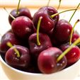 Season of Sweet Red Cherries - 15 pounds total