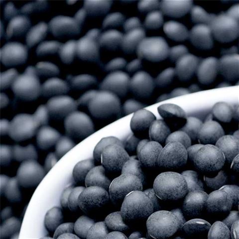 Black Caviar Lentils