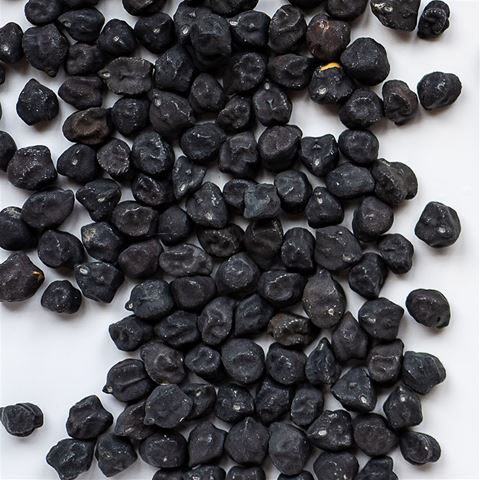Organic Black Chickpeas