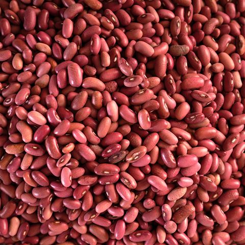 Organic Red Rosita Beans - Garden Treasures Farm