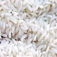 Rue & Forsman Sustainably-Grown White Jasmine Rice