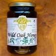 Wild Oak Honey - Catalonia