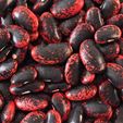 Scarlet Runner Beans - Dried