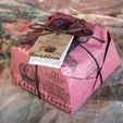 Borsari Panettone with Recioto Grapes
