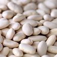 Organic Great Northern Beans - Dried