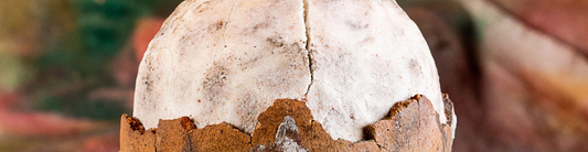 What Is Asin Tibuok? Inside Bohol's Extraordinary Whole Salt Tradition