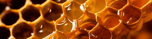 What’s in Your Honey—and Is It Real?