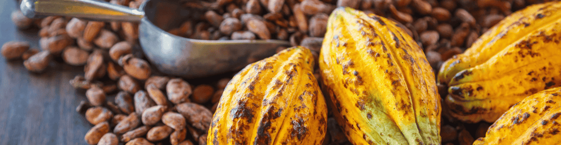 Why 90%+ Dark Chocolate Tastes Better Than Ever
