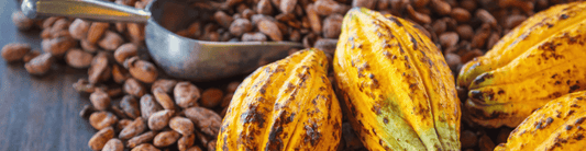 Why 90%+ Dark Chocolate Tastes Better Than Ever