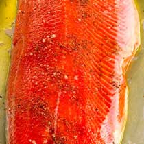 COPPER RIVER SALMON