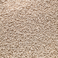 Yeast