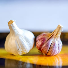 GARLIC