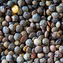 Lentils