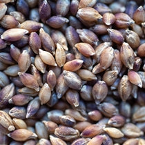 Grains