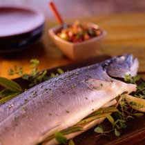 Fresh Fish