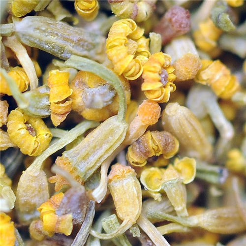 Fennel Pollen - Wild