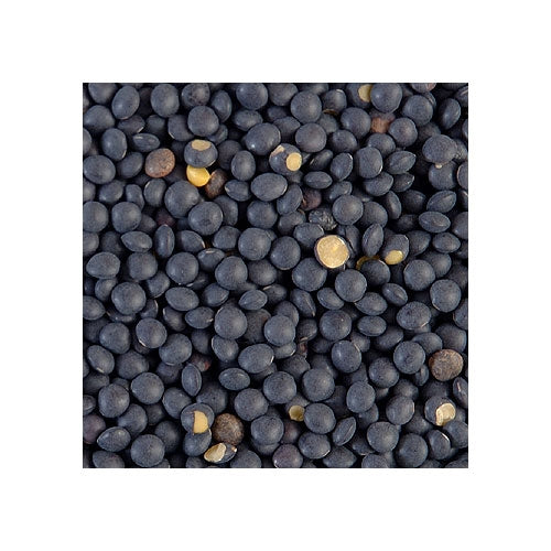 Beluga Lentils