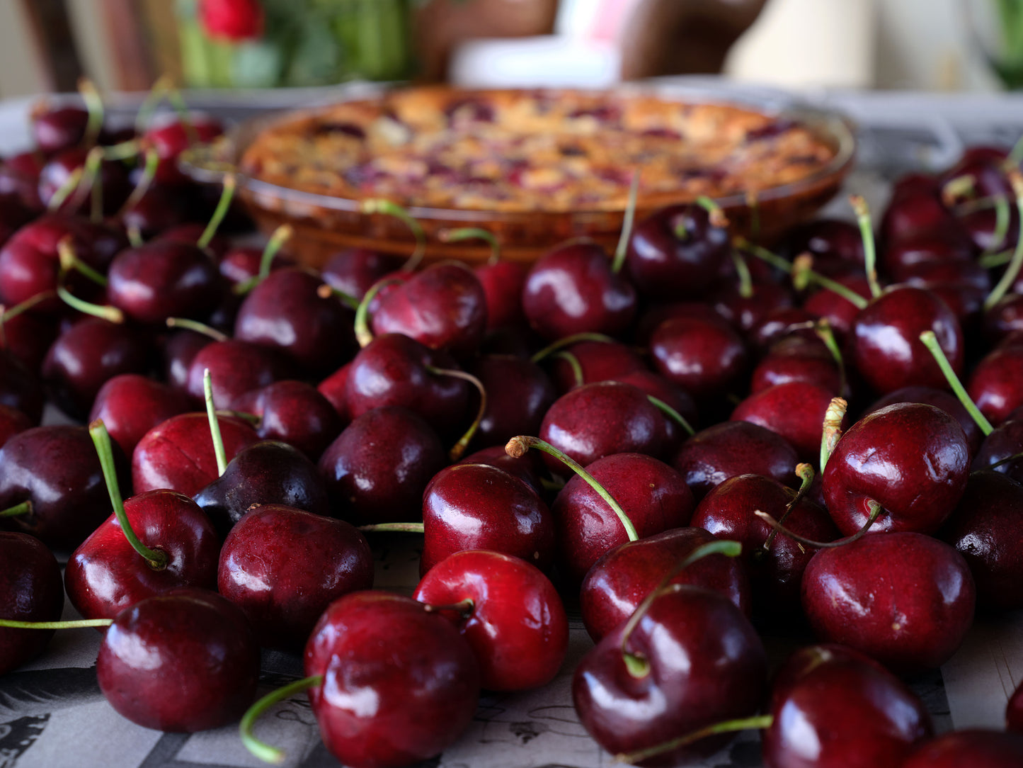 Season of Sweet Red Cherries