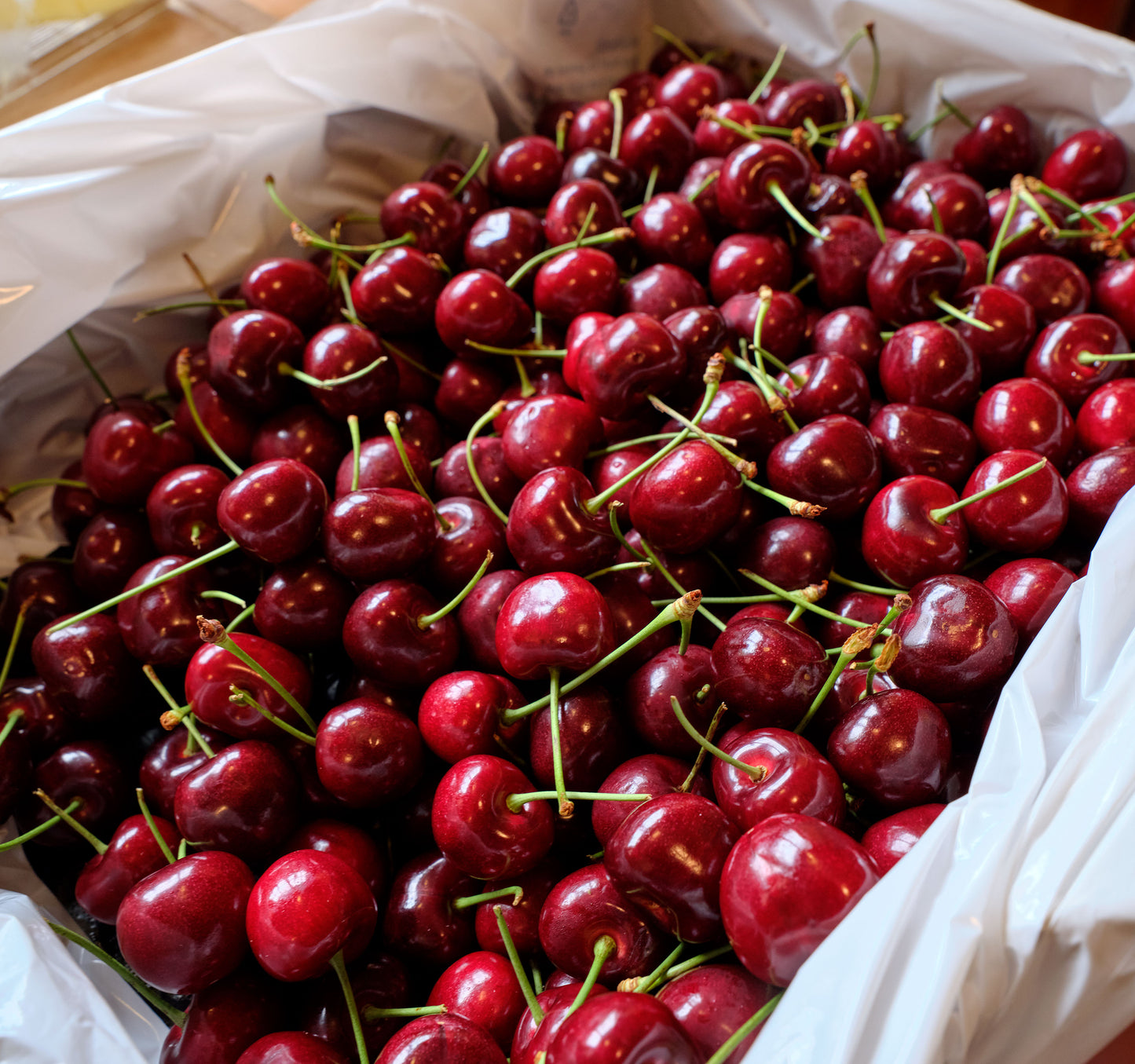 Fresh Bing Cherries