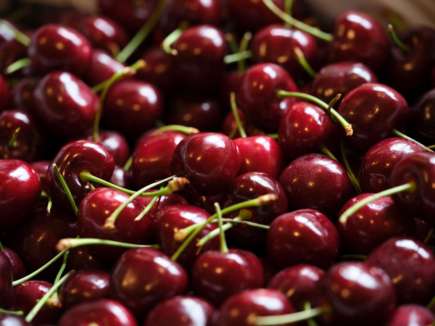 Fresh Bing Cherries