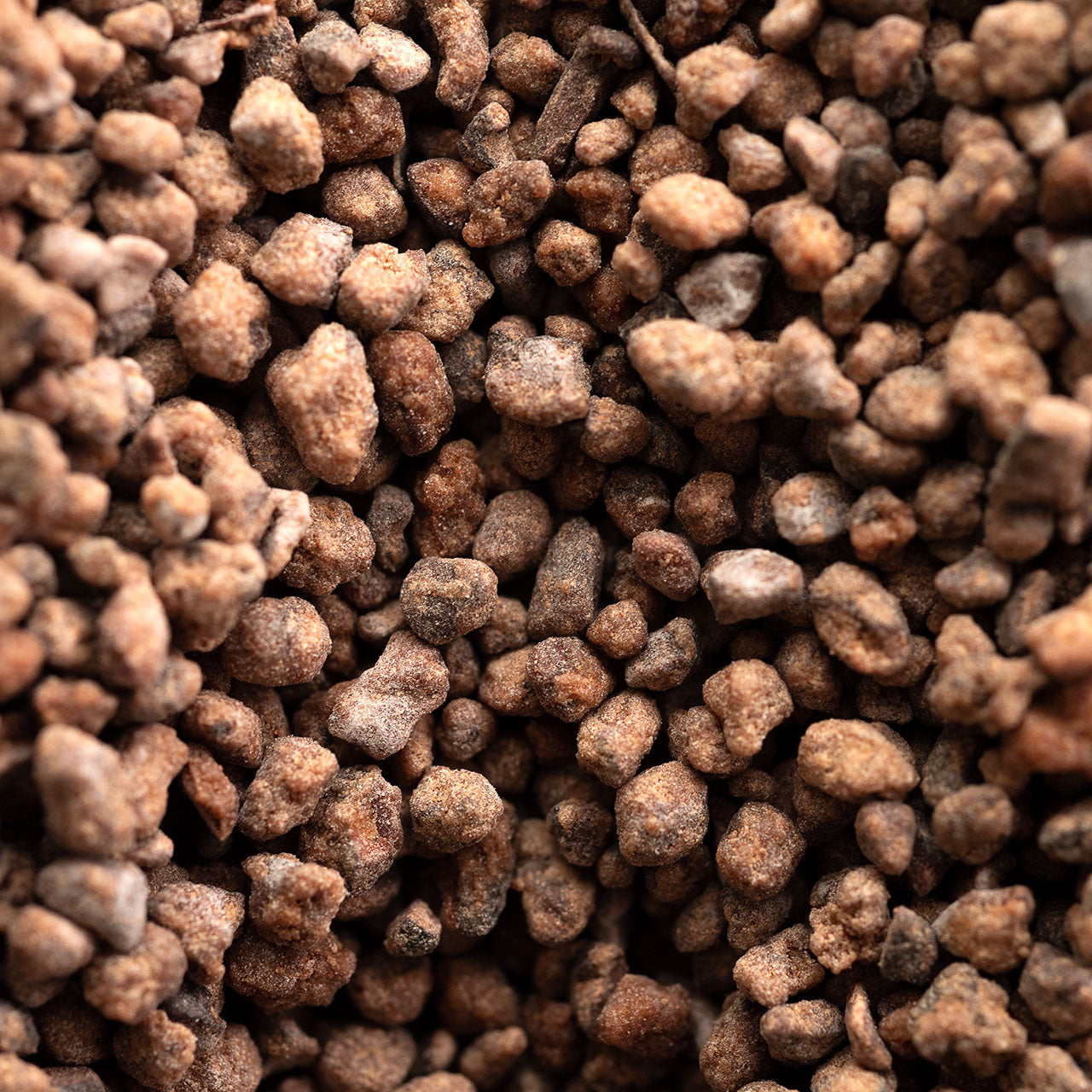 Cocoa Nibs Caramelized