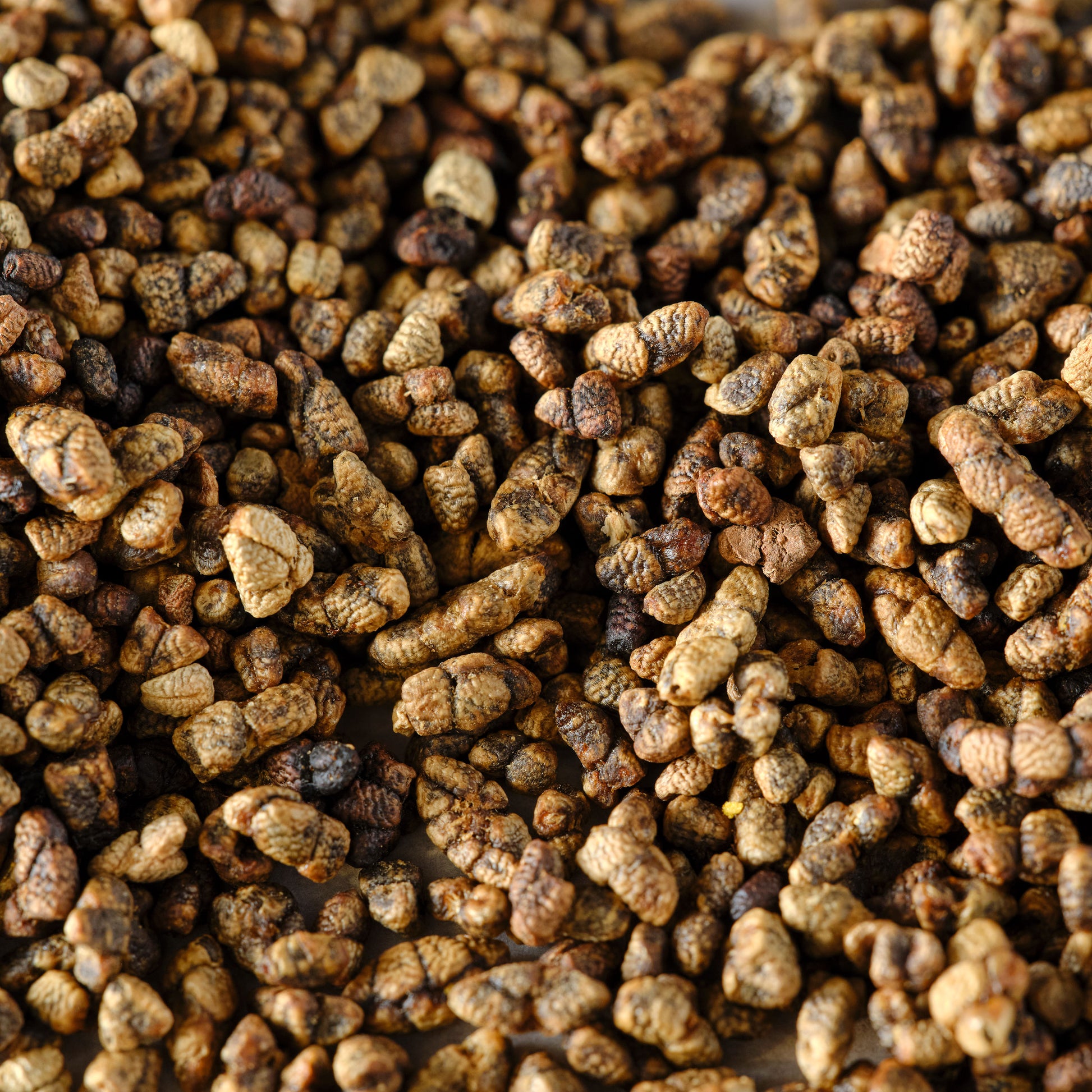Cardamom Seeds - Organic Macro