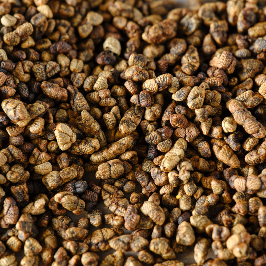 Cardamom Seeds - Organic Macro