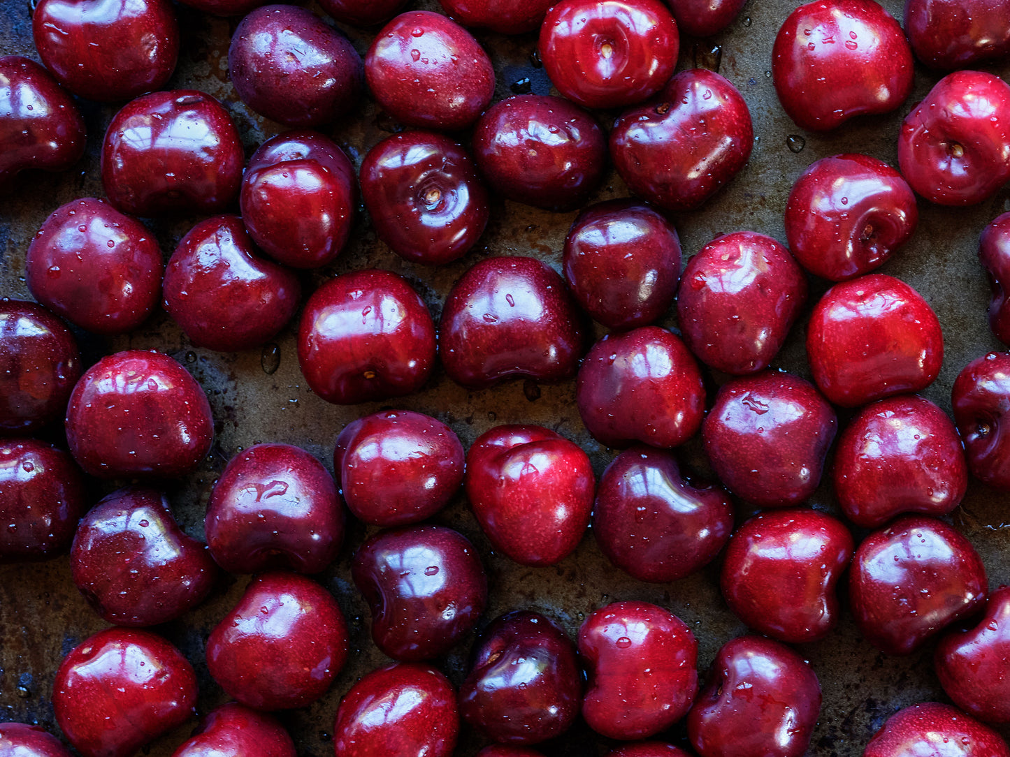 Season of Sweet Red Cherries