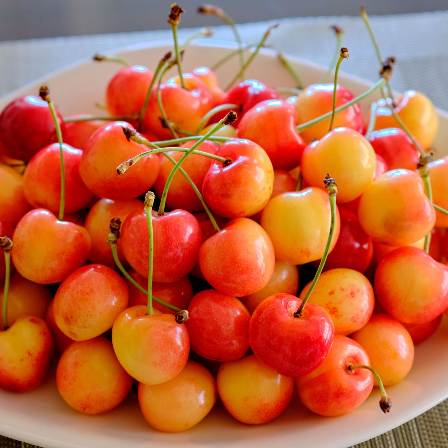 Fresh Early Robin Cherries