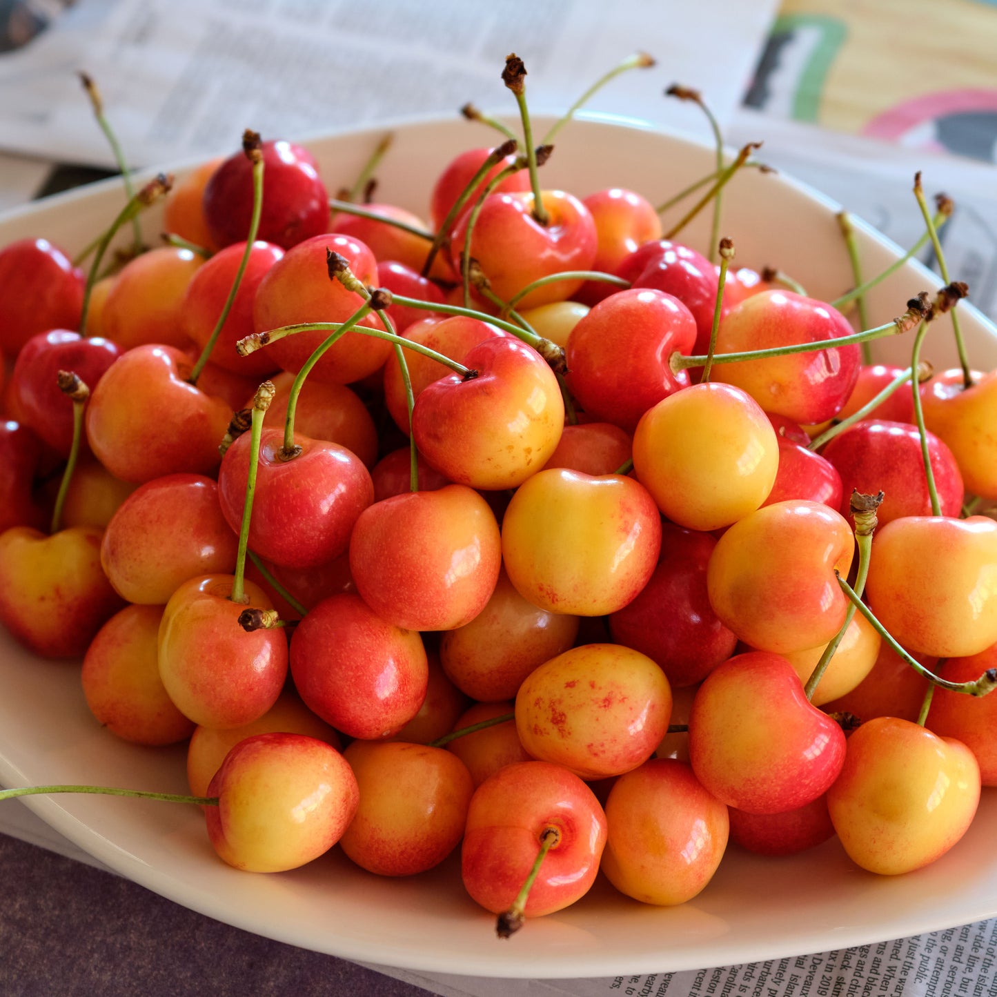 Fresh Early Robin Cherries
